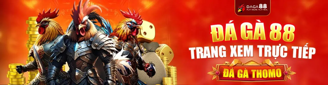 Đá Gà Trực Tuyến Xin888