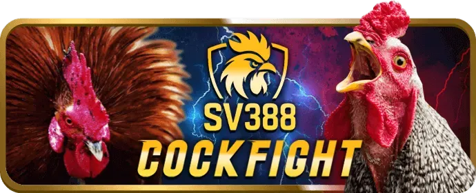 Đá Gà Cựa Dao Xin888