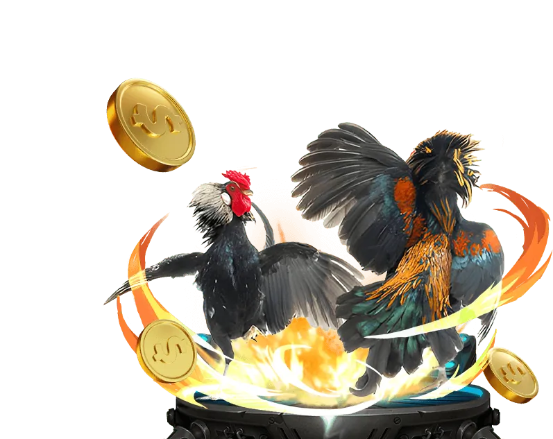 Tổng quan về công ty xin888 và sứ mệnh của chúng tôi